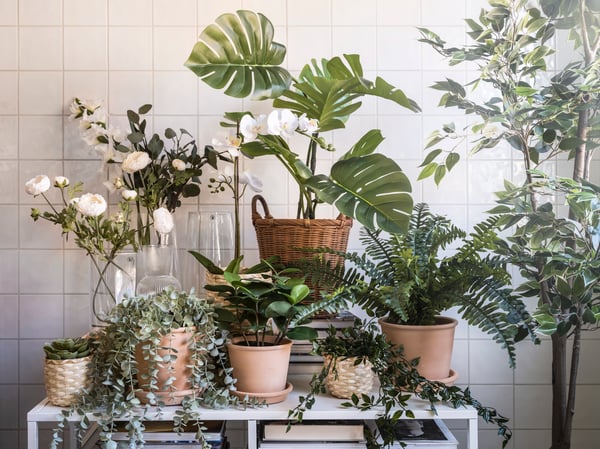 Una planta artificial en maceta Monstera FEJKA para interior y exterior.