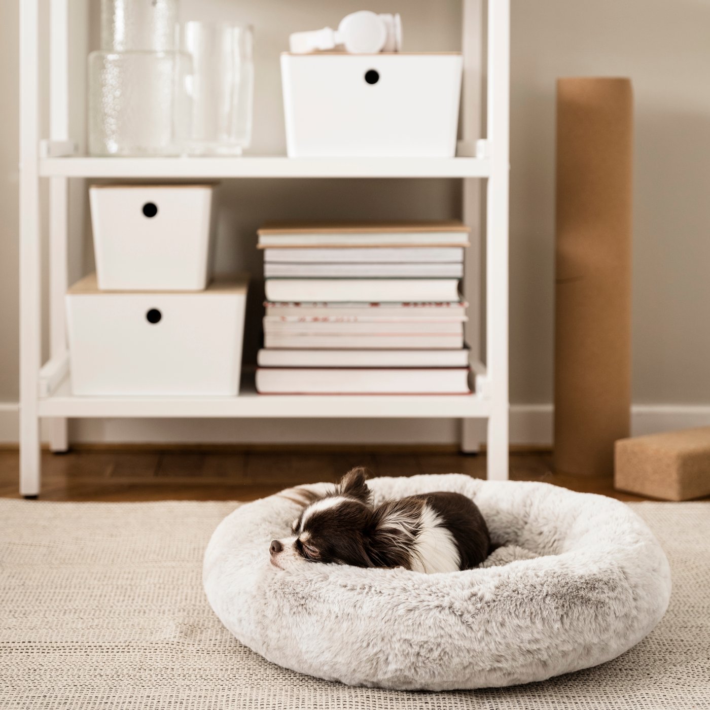 A light grey UTSÅDD pet bed