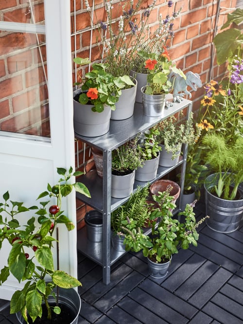 An indoor/outdoor HYLLIS steel shelving unit holds potted plants next to a balcony door, a brick wall and pots on the floor.