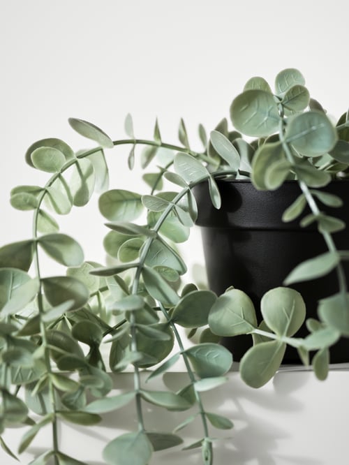 Spațiu de lucru close-up de o plantă verde artificial ghiveci din plastic, plasat pe o suprafață albă albă.
