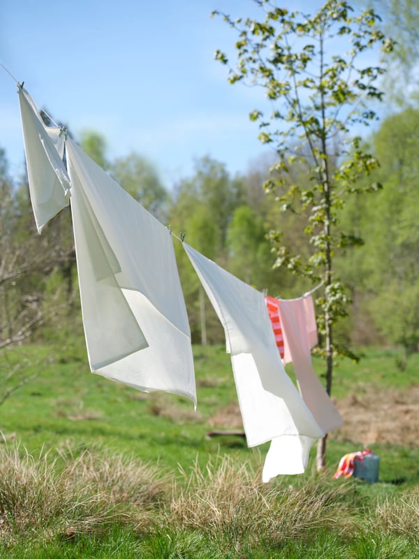 White sheets hung out to dry, blowing in the wind with a green forest in the back.