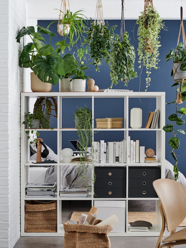A white KALLAX cupboard with various green plants on it. There are also plants in the compartments of the cupboard.