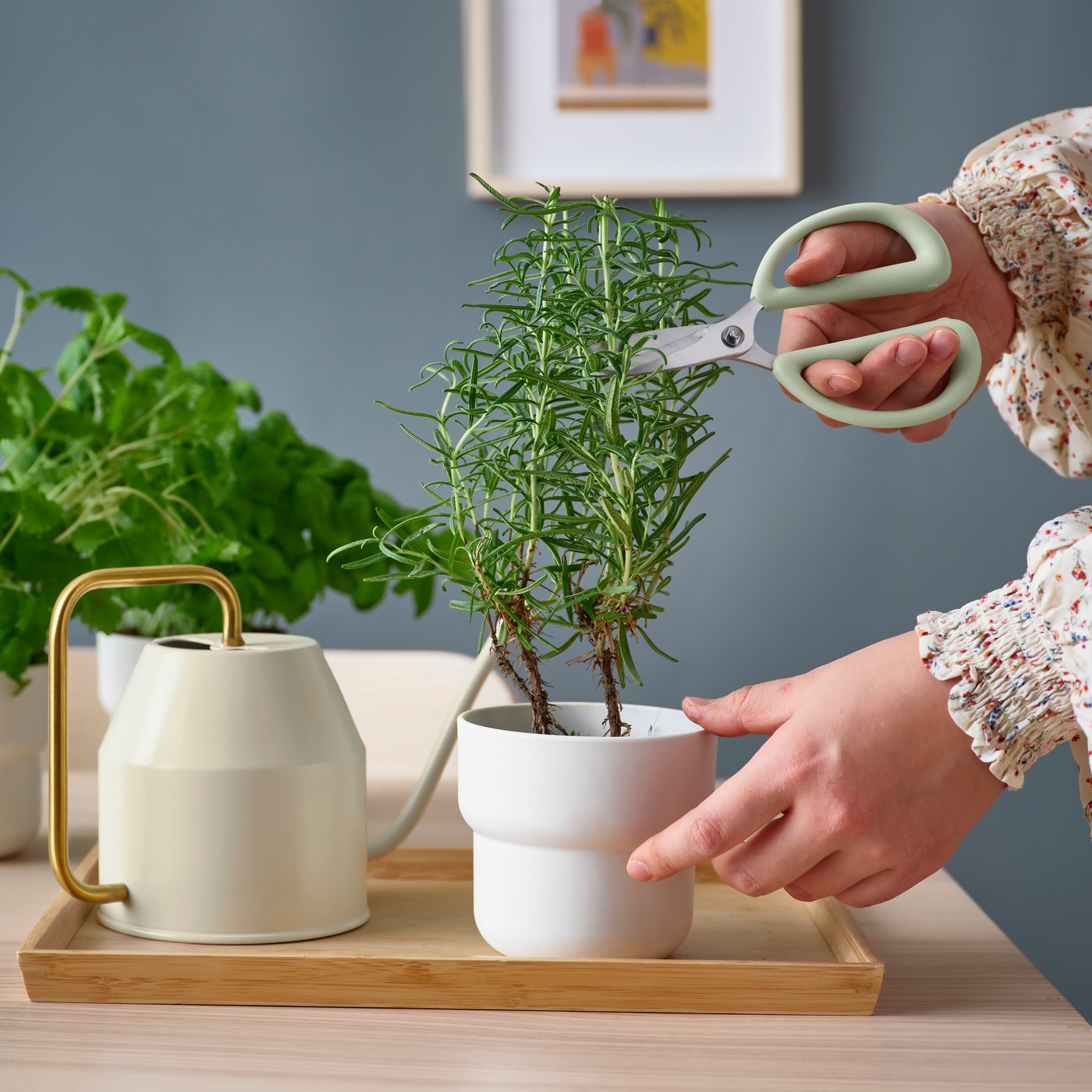 A light green BRYTBÖNA herb scissors