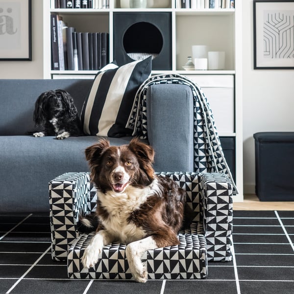 cube wall shelves with pet