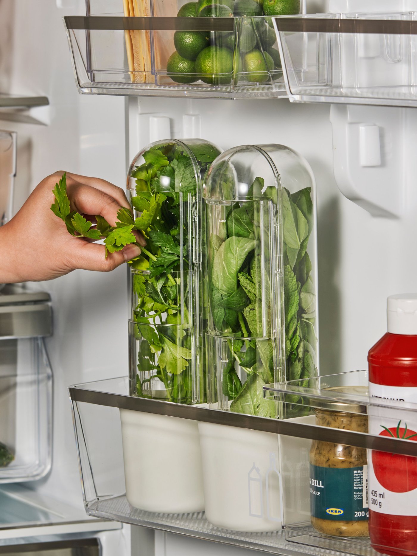 A transparent KLIPPKAKTUS herb storage for fridge