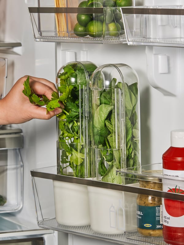 A transparent KLIPPKAKTUS herb storage for fridge