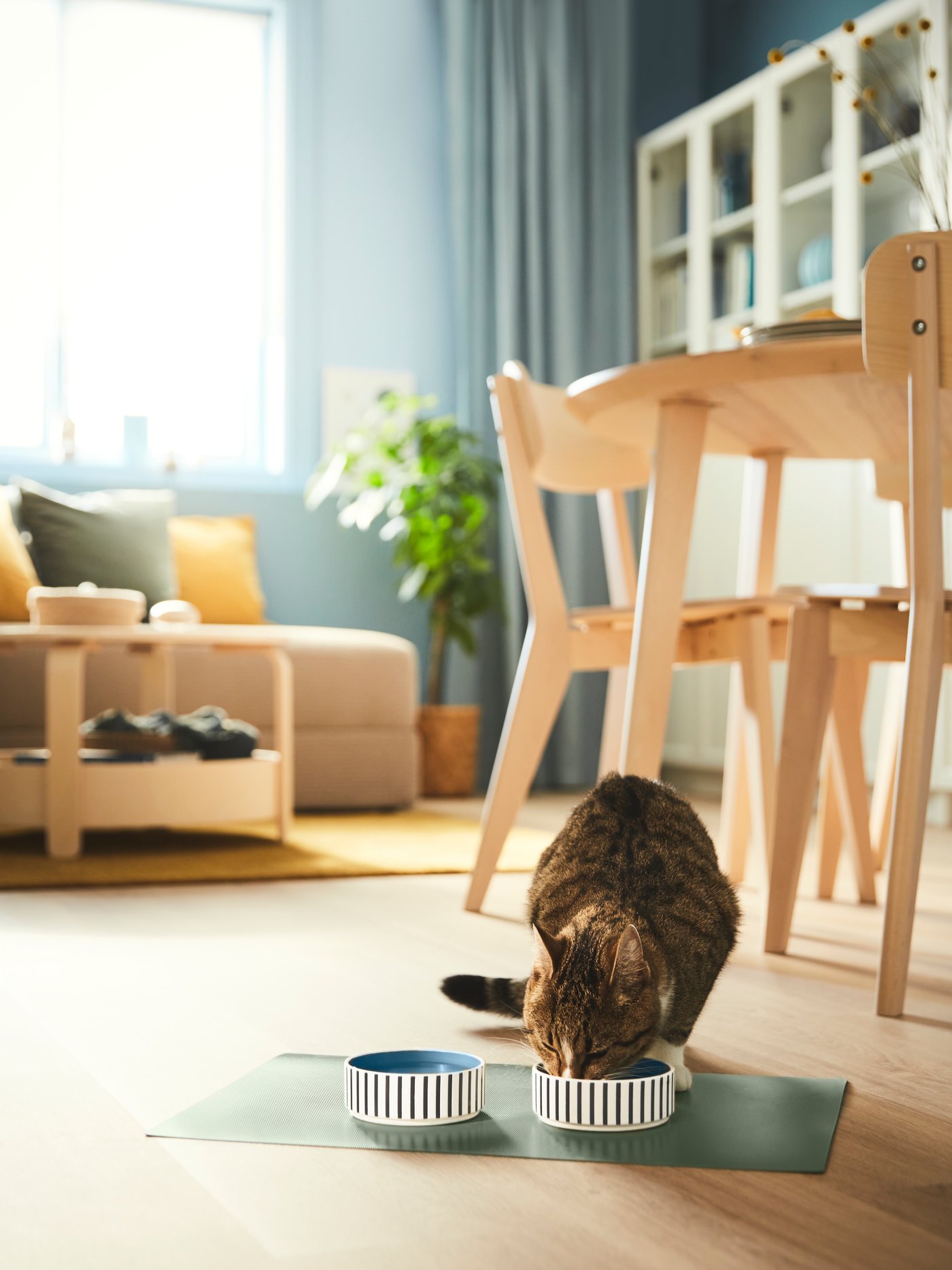 ikea dog chair