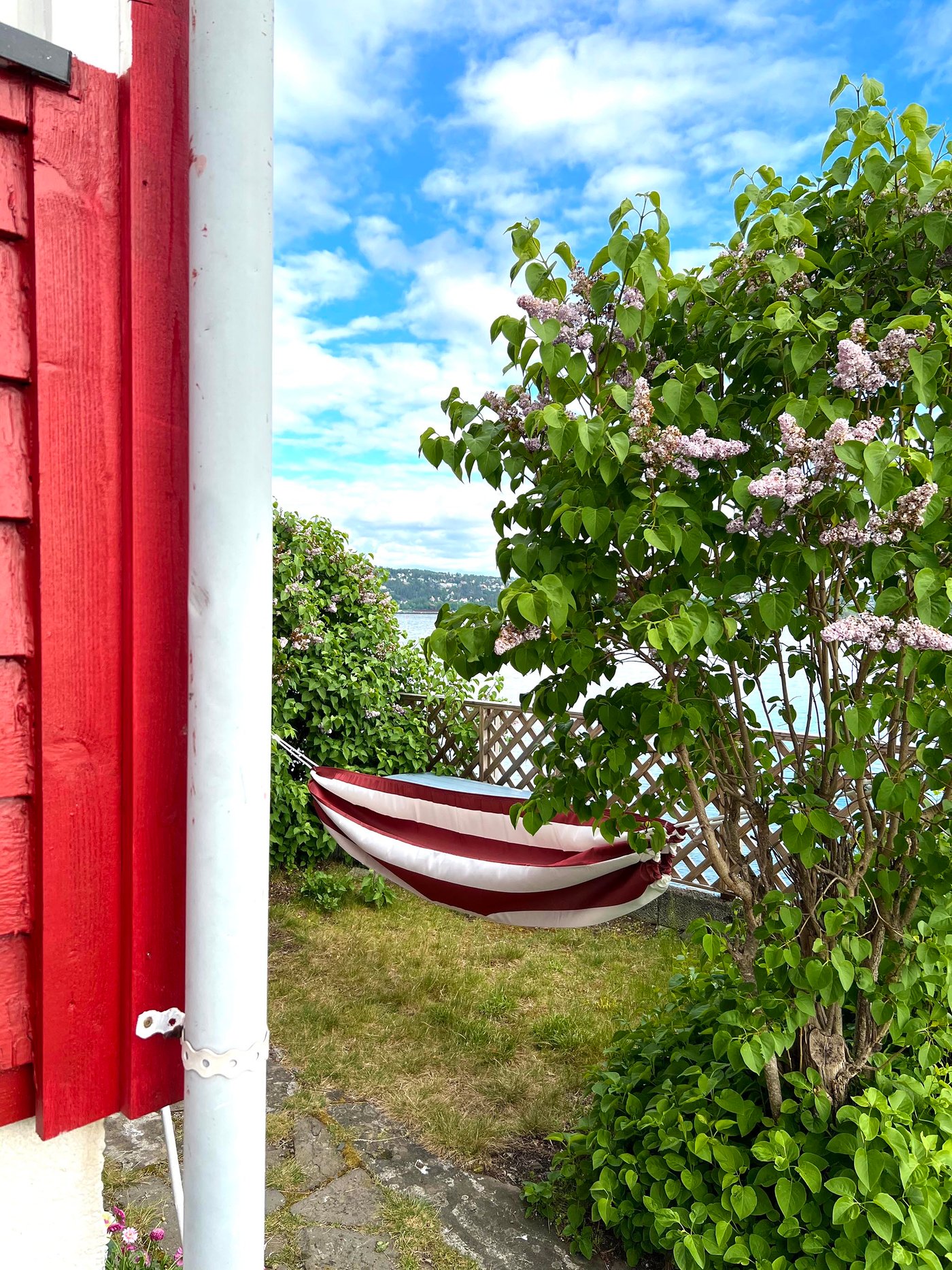 En hengekøye mellom trærne.