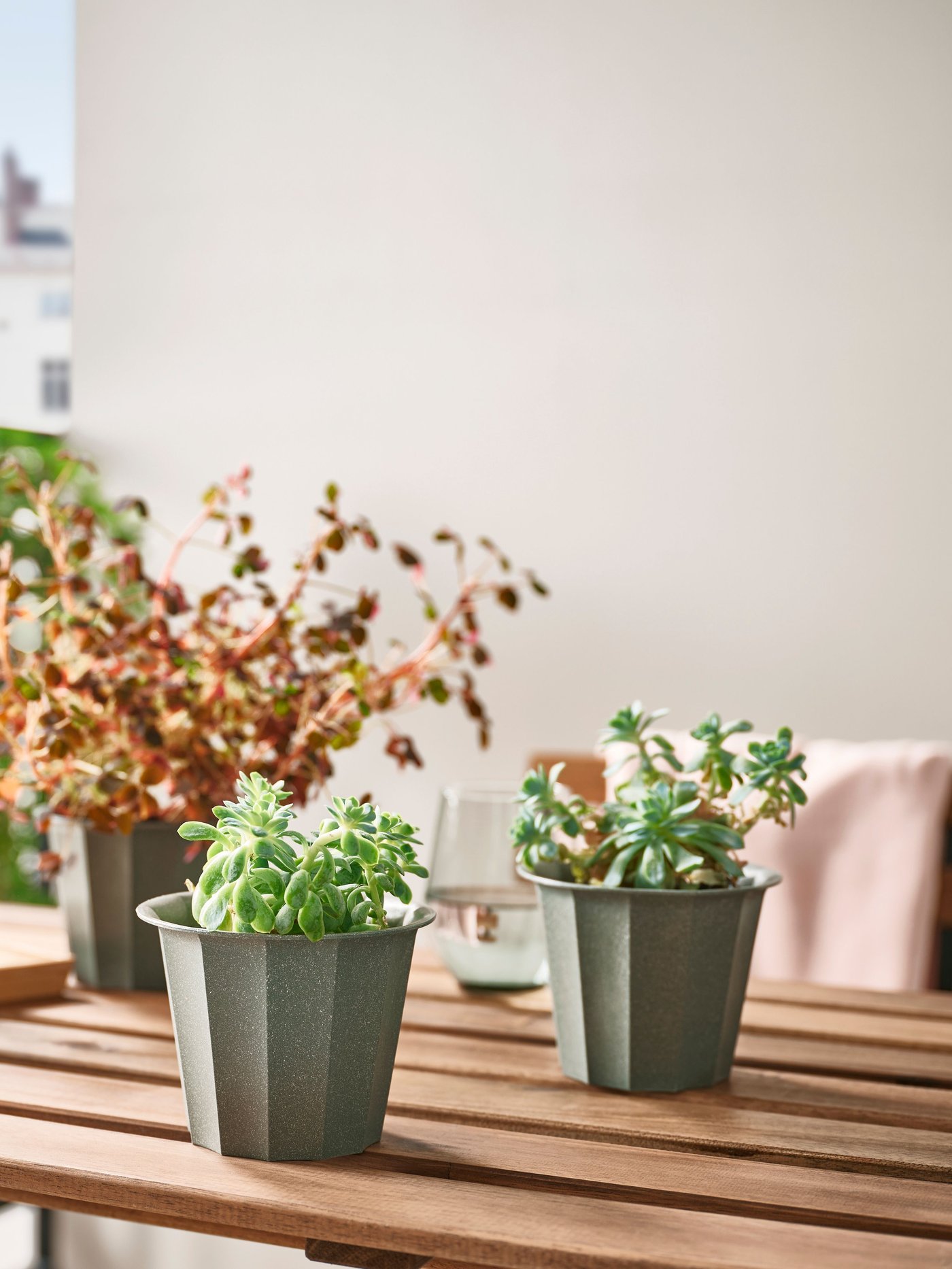 3 graue Blumentöpfe BUSKVERK, die für drinnen und draussen geeignet sind, auf einem Gartentisch. Darin Sukkulenten. 