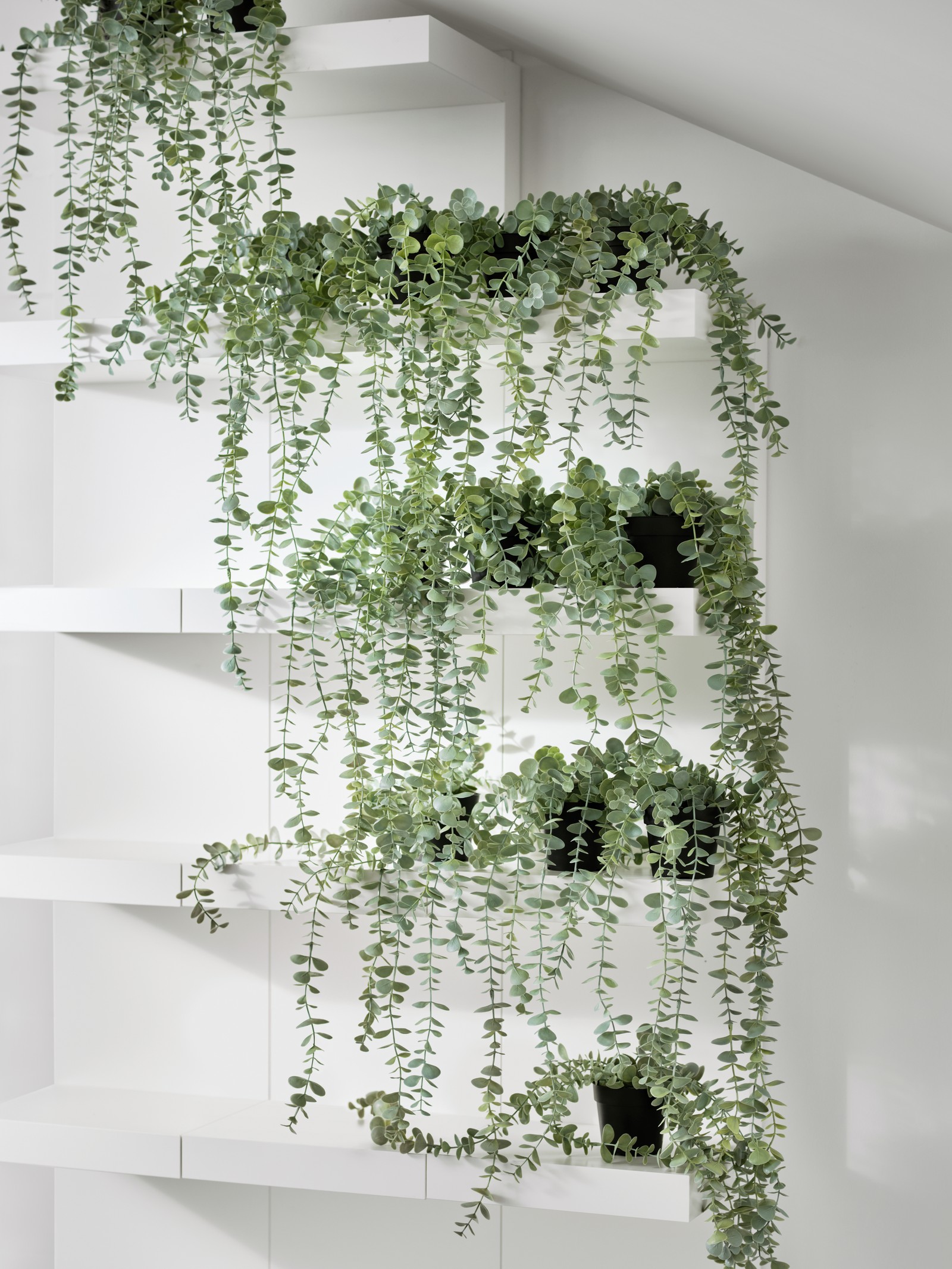 Indoor Plants & Flowers IKEA