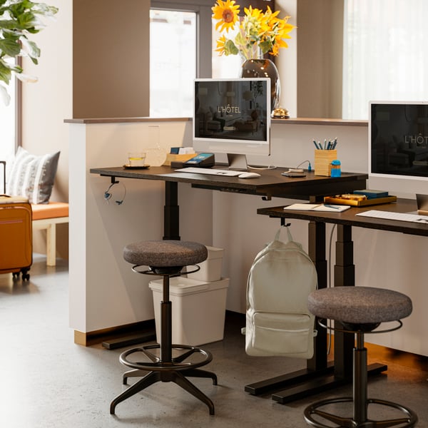 View from staff in a reception office featuring two black MITTZON sit/stand desks in electric walnut veneer near a window.