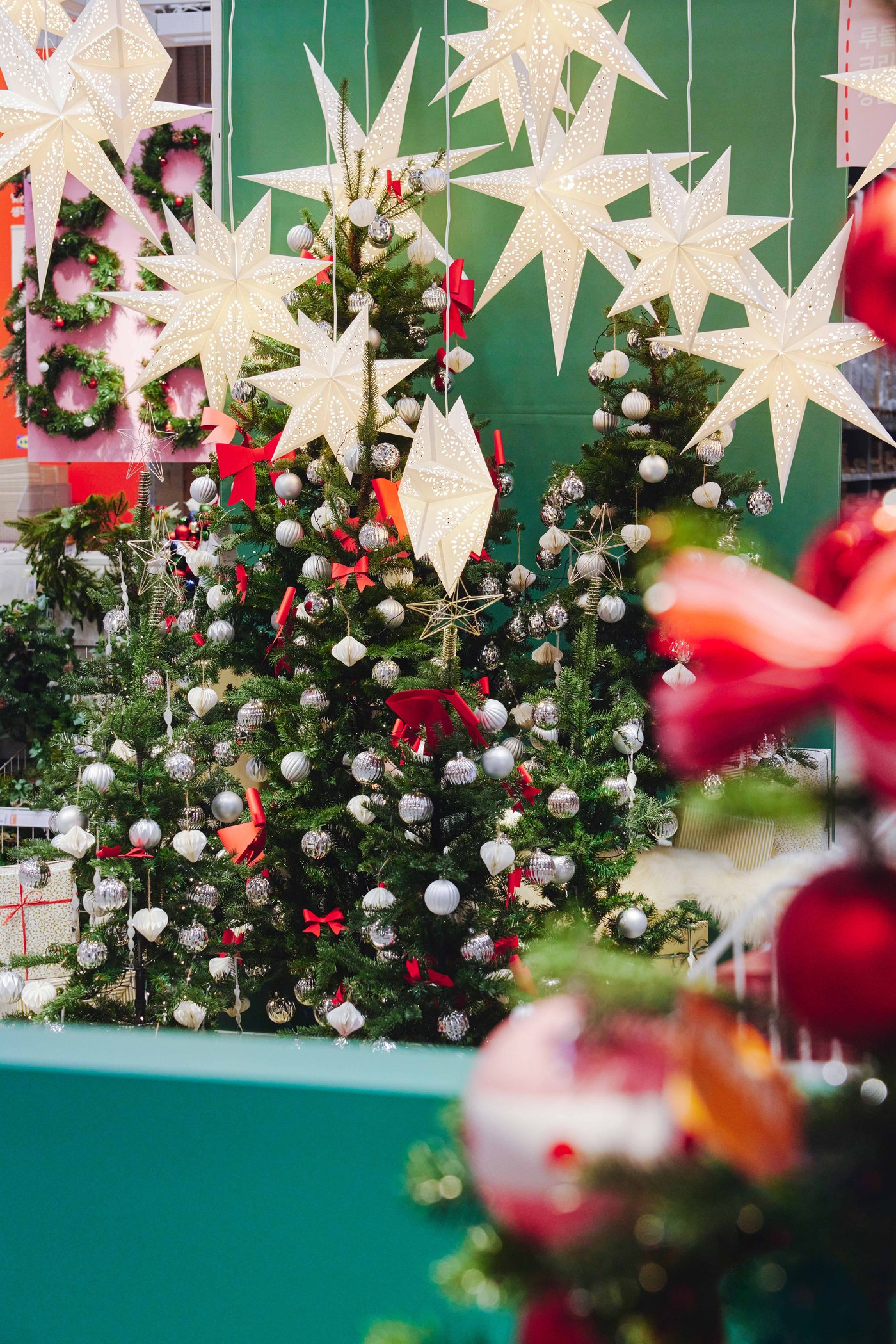 크리스마스 트리