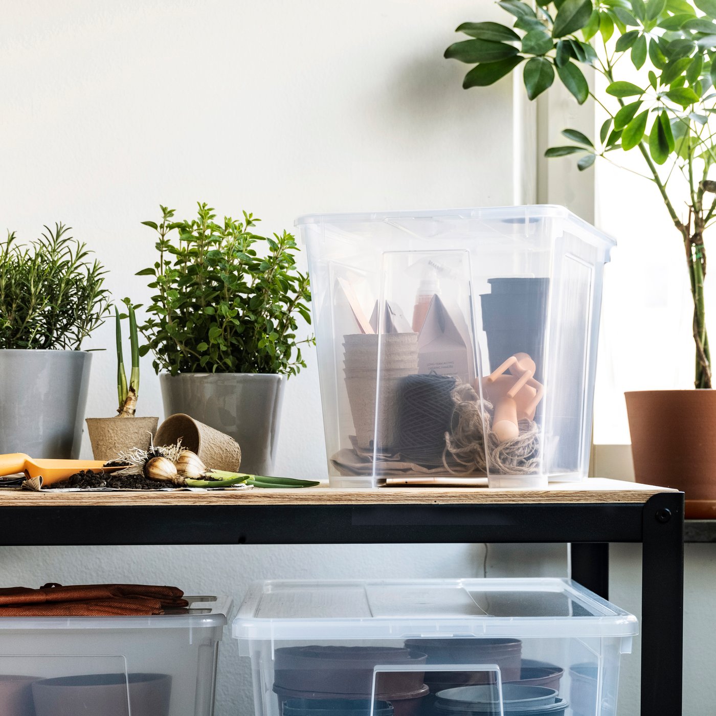 A table filled with leafy potted plants, gardening paraphernalia, and SAMLA boxes on a below filled with accessories.