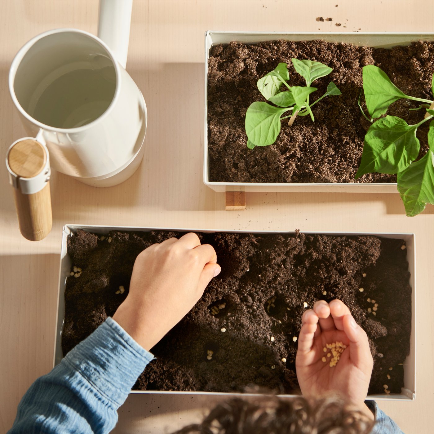 Detské ruky sadiace semienka do kvetináča BITTERGURKA, doska na krájanie PROPPMÄTT s nakrájanou paprikou a kanvica na vodu.