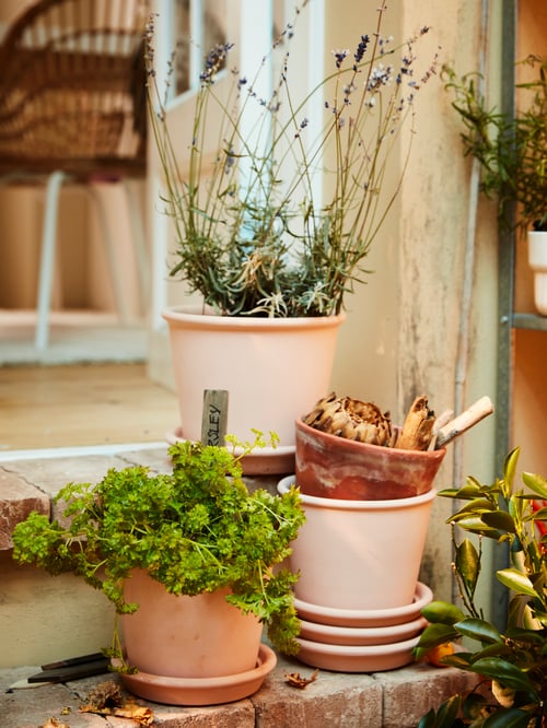 Zona exterioara cu ghivece maro cu farfurii, plante verzi asezate pe trepte, un scaun in fundal, flori.