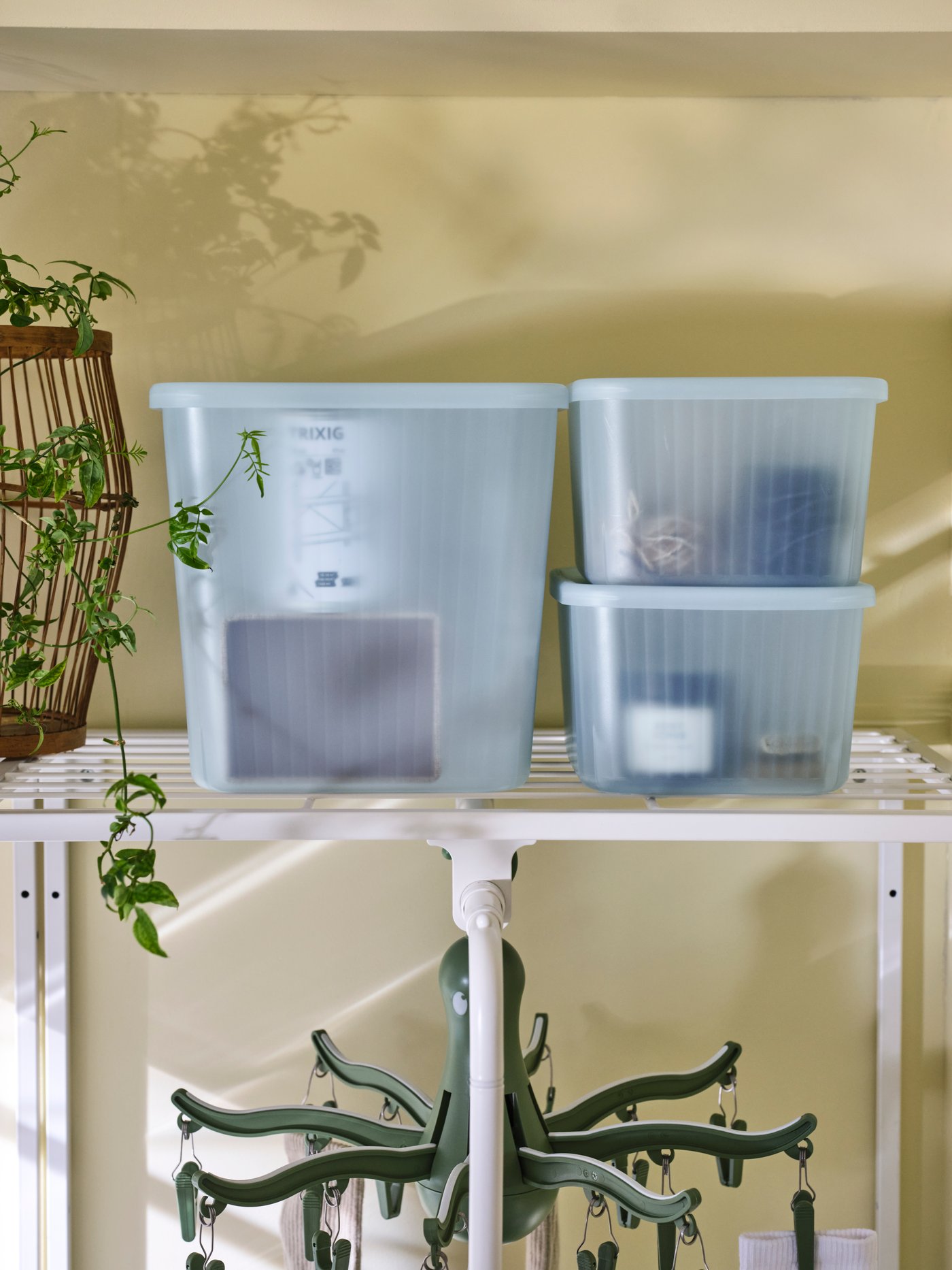 Transparent grey-blue plastic RYKTA storage boxes with lids have cleaning products inside and are stacked on a shelving unit.