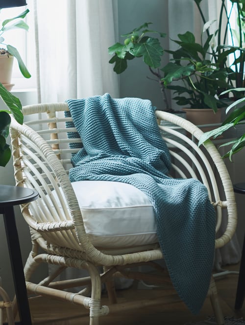 Living room with armchair made of rattan, throw and table, placed next to window, near plants pots and green houseplants.