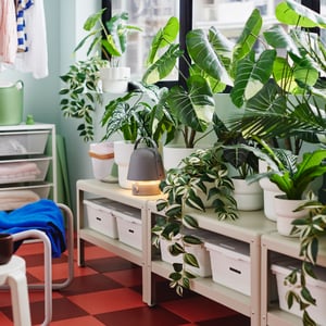 Na regałach pod oknami zabudowanego balkonu znajduje się wiele sztucznych roślin doniczkowych, takich jak FEJKA tradescantia zebrina.