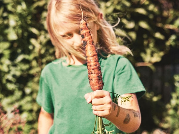 A child holds up a carrot that has just been picked from the garden.