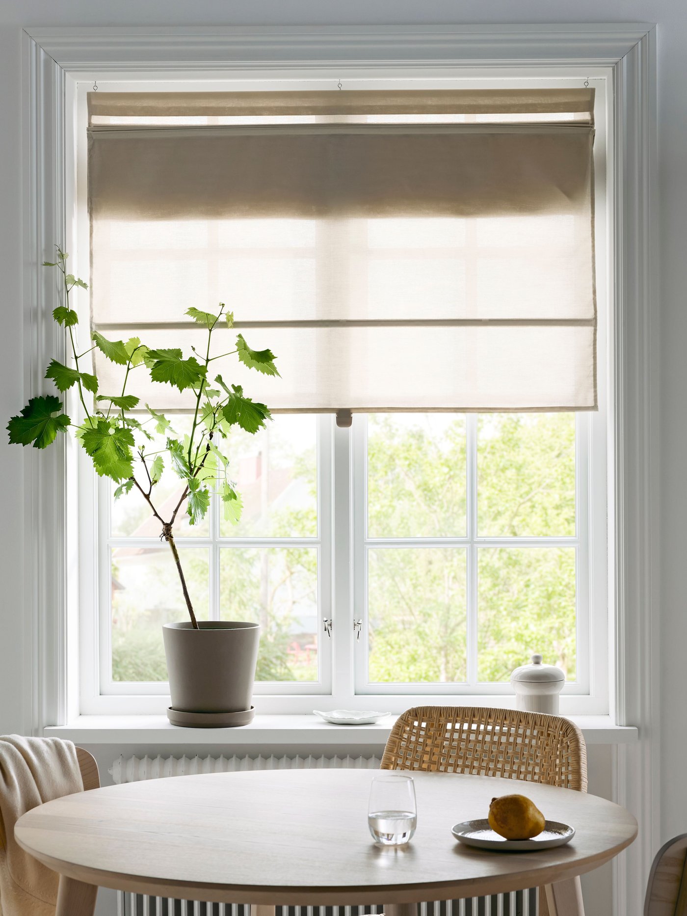 A beige RINGBLOMMA Roman blind with an indoor pot with a green houseplant.