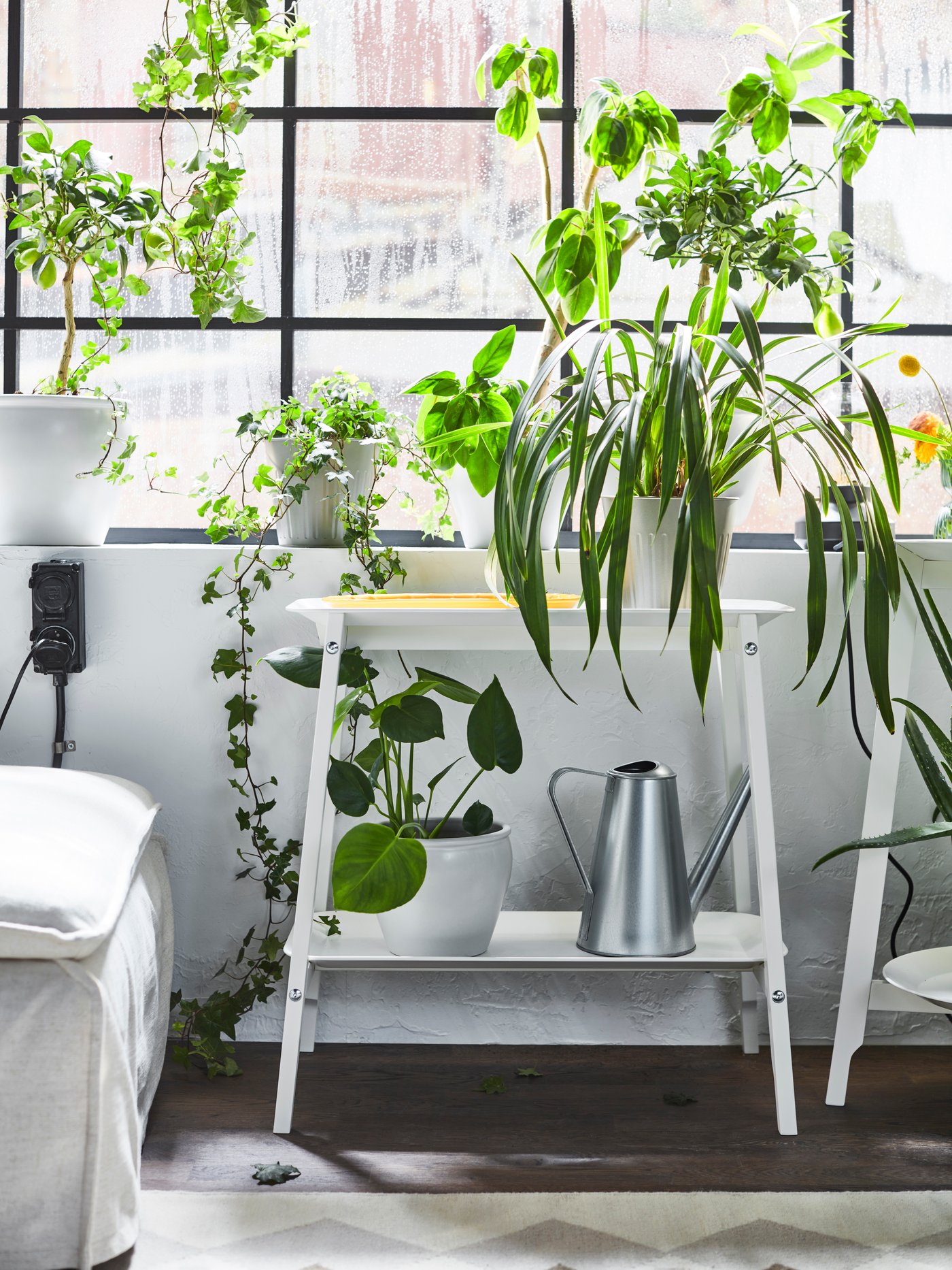 Rośliny na biaym stojaku na rośliny ALPVIDE.