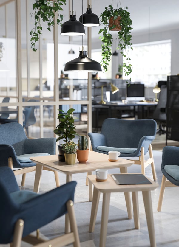 Un espace de travail avec trois chaises bleues et une table en frêne blanc au centre.