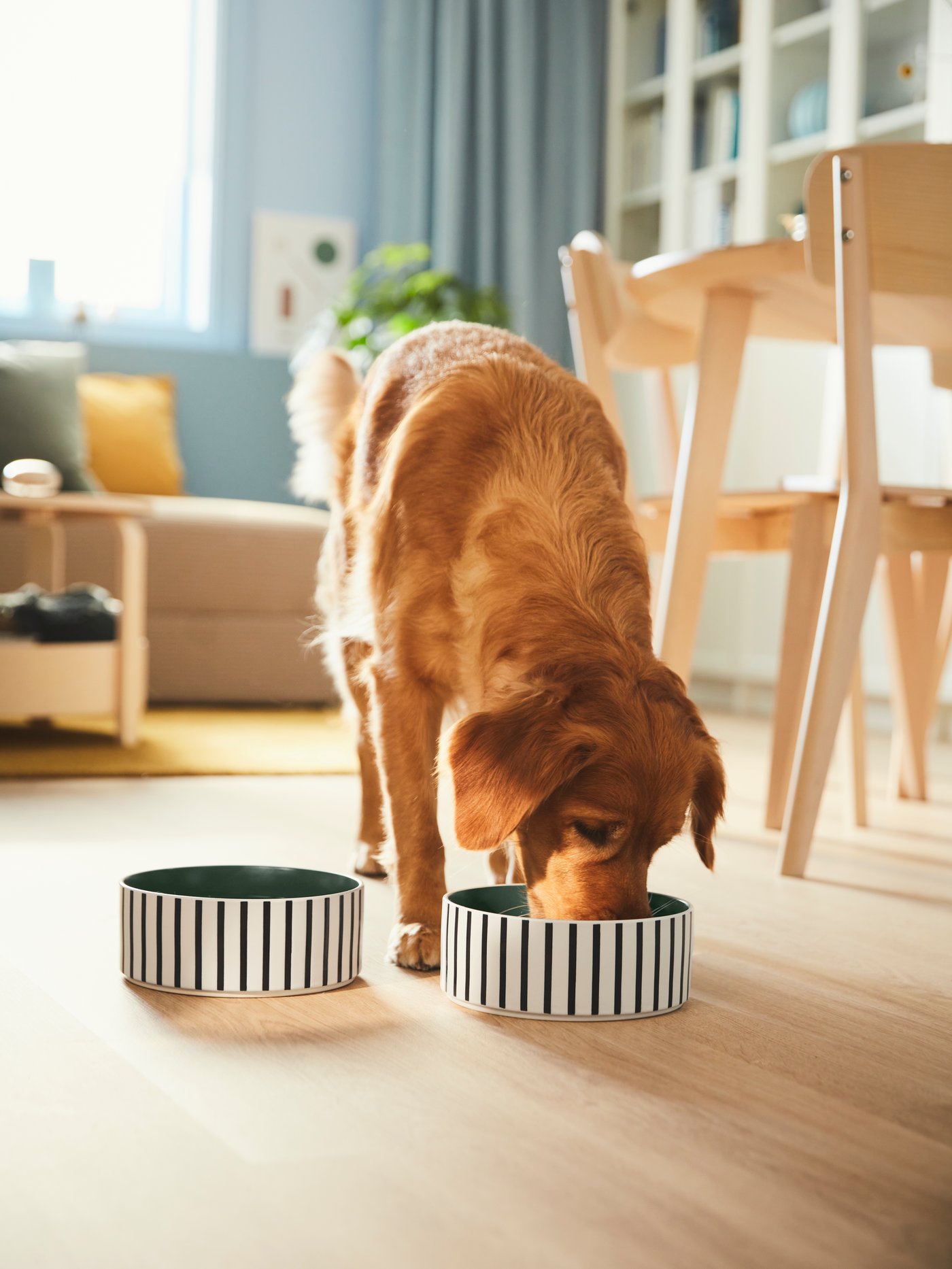 A stripe pattern black-blue/grey-green UTSÅDD pet bowl