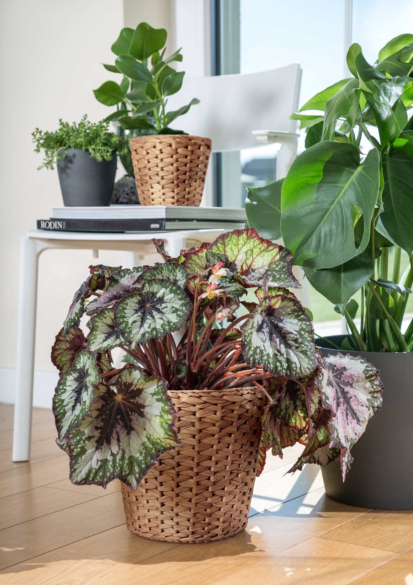 A water hyacinth FRIDFULL plant pot