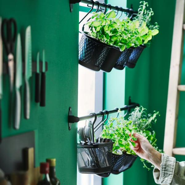 A black HULTARP kitchen rail in black with herbs and utensil holders hanging from it