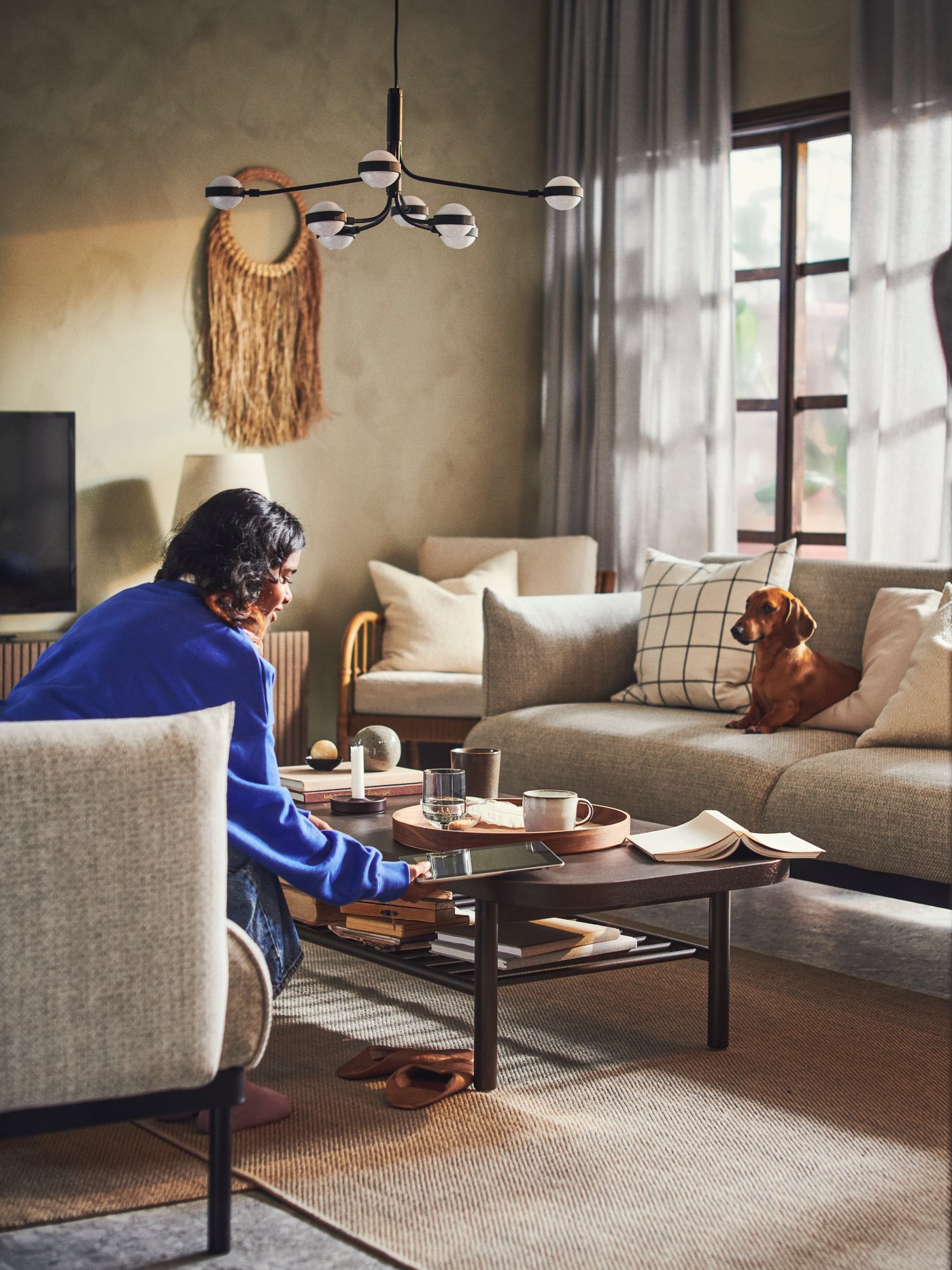 A dog is seated across a person on a ÄPPLARYD 3 seat sofa with curtains behind, a coffee table beside and a rug on the floor.