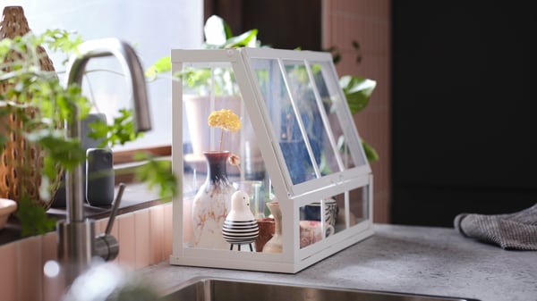 A white ÅKERBÄR greenhouse with a flower in a vase and various other items inside, on a kitchen worktop by a window.