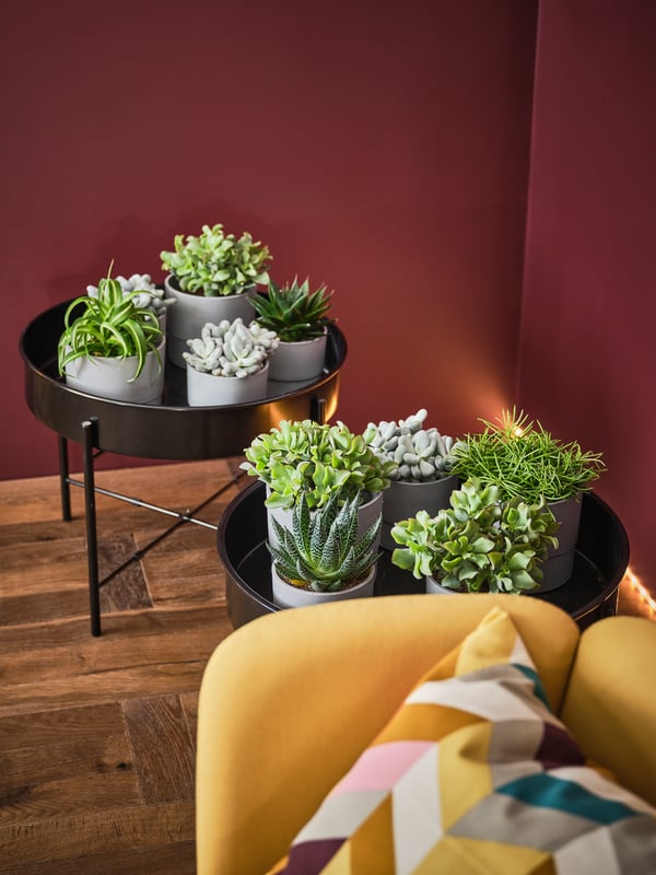 Plantes artificielles – MeublesPlus