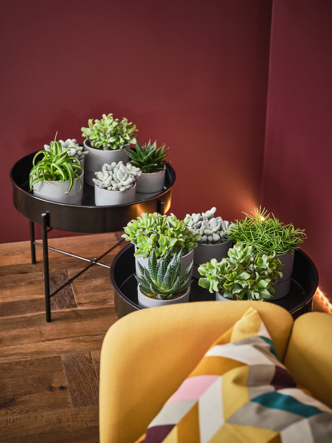 Dekorieren mit großen Zimmerpflanzen IKEA Deutschland