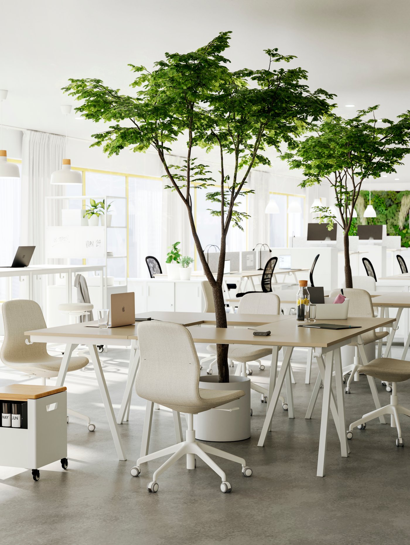 Zona de comedor con un escritorio rectangular, varias sillas de oficina beige, un módulo de almacenaje con ruedas y dos plantas en macetas.