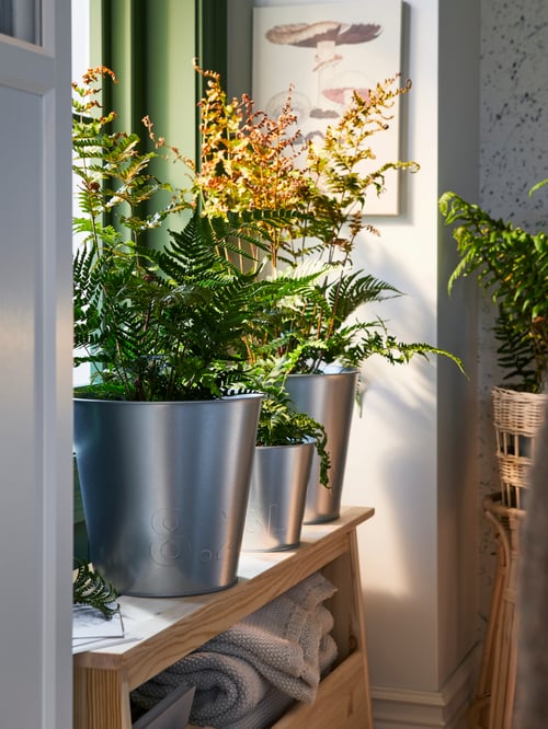 Vedere laterală a trei ghivece de plante ÅKERBÄR gri de diferite dimensiuni, care conțin plante, așezate pe o bancă PERJOHAN bej cu prosoape.