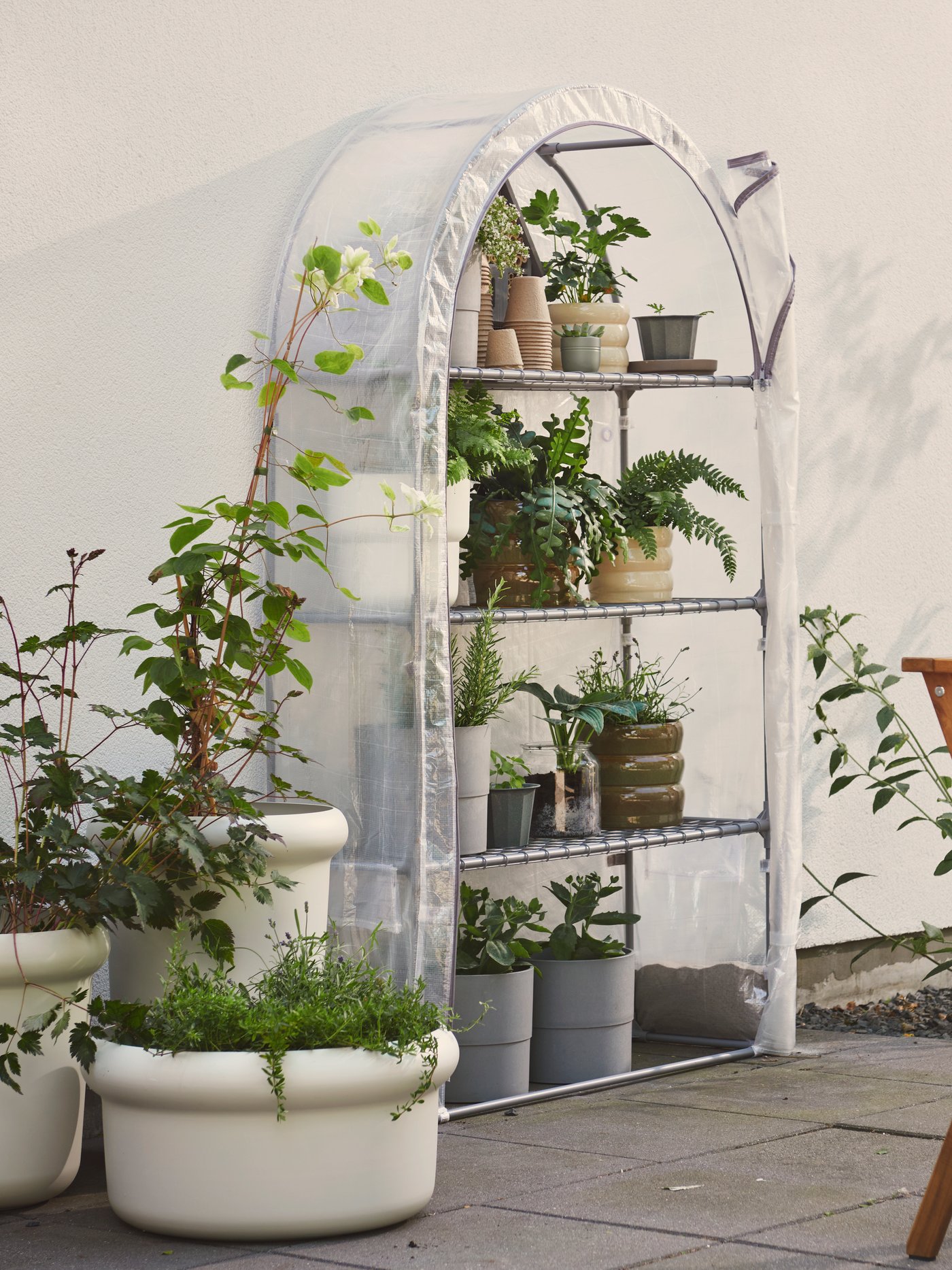 A garden with a transparent white ASPAREN greenhouse filled with plants on shelves next to a wooden table and green plants.