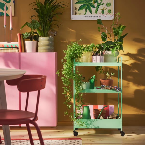 A colourful living room with a light green trolley filled with DOFTRIPS growing items surrounded by house plants.