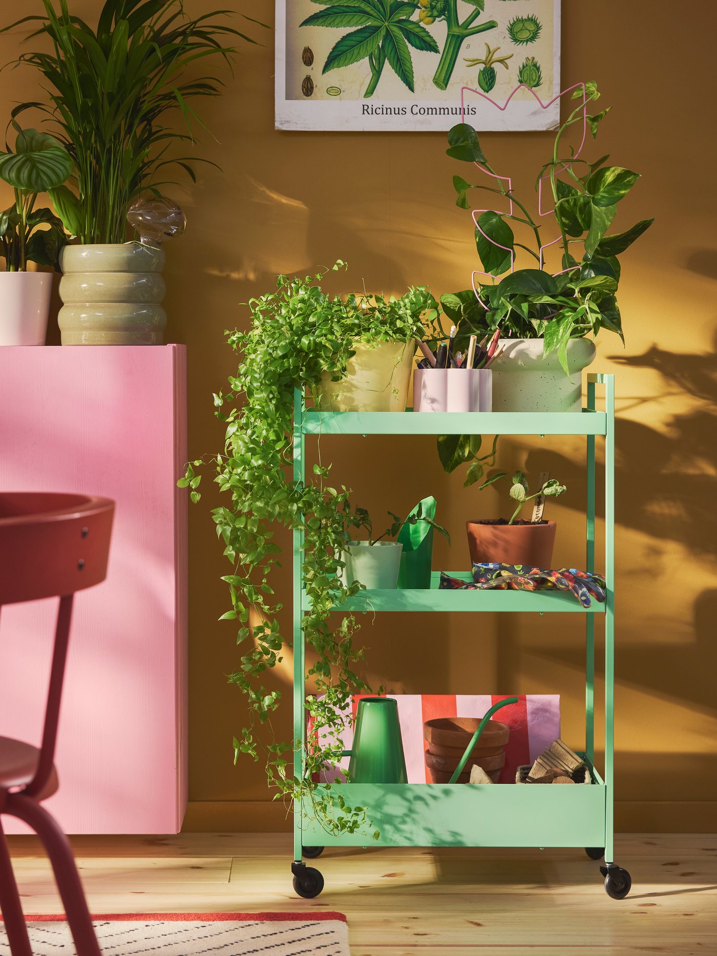 A colourful living room with a light green trolley filled with DOFTRIPS rowing items surrounded by house plants.