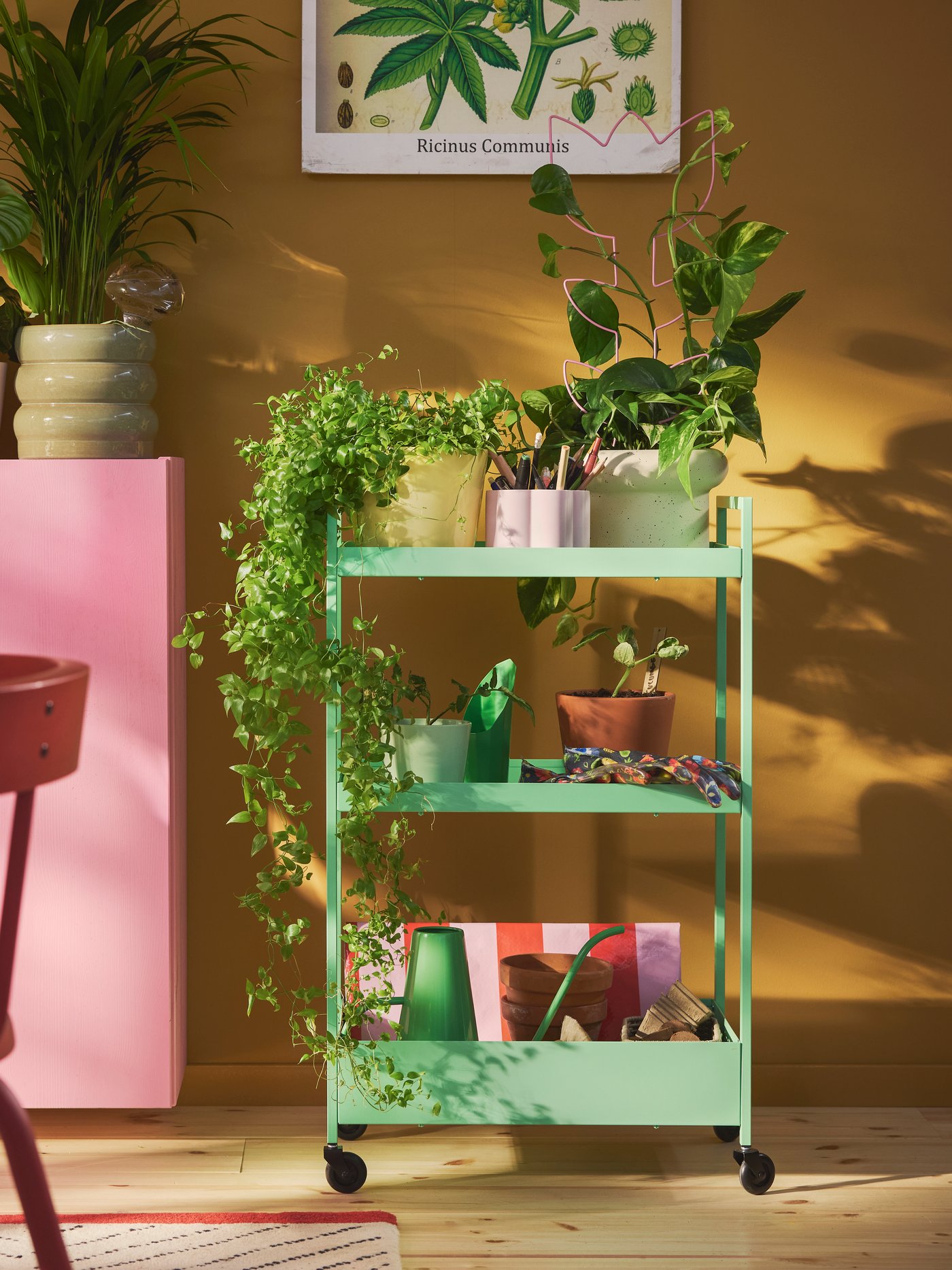 A colourful living room with a light green trolley filled with DOFTRIPS growing items surrounded by house plants.