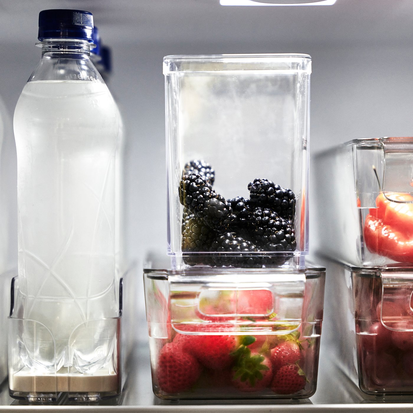 En transparent KLIPPKAKTUS förvaringsbox för kyl