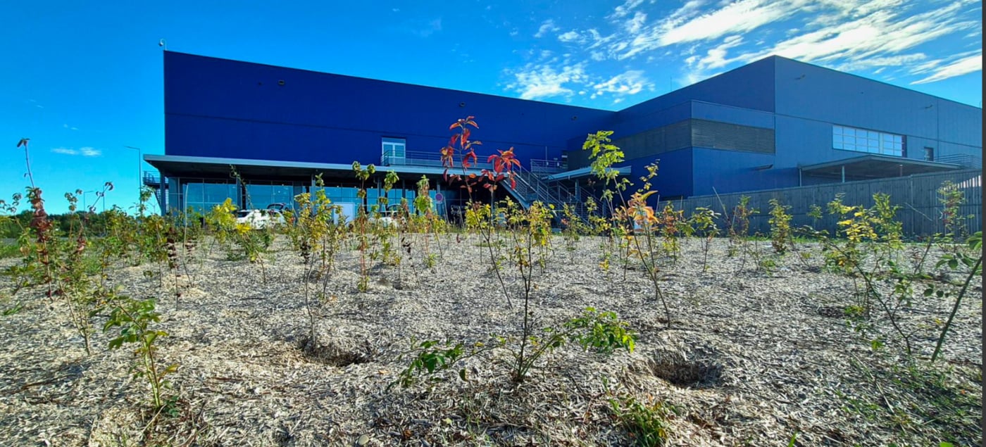 plantation devant un magasin ikea