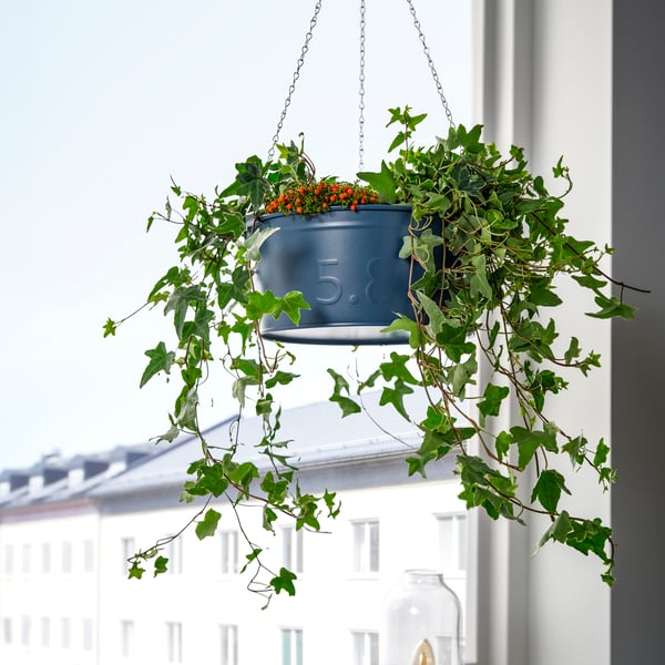 An in/outdoor dark blue ÅKERBÄR hanging planter