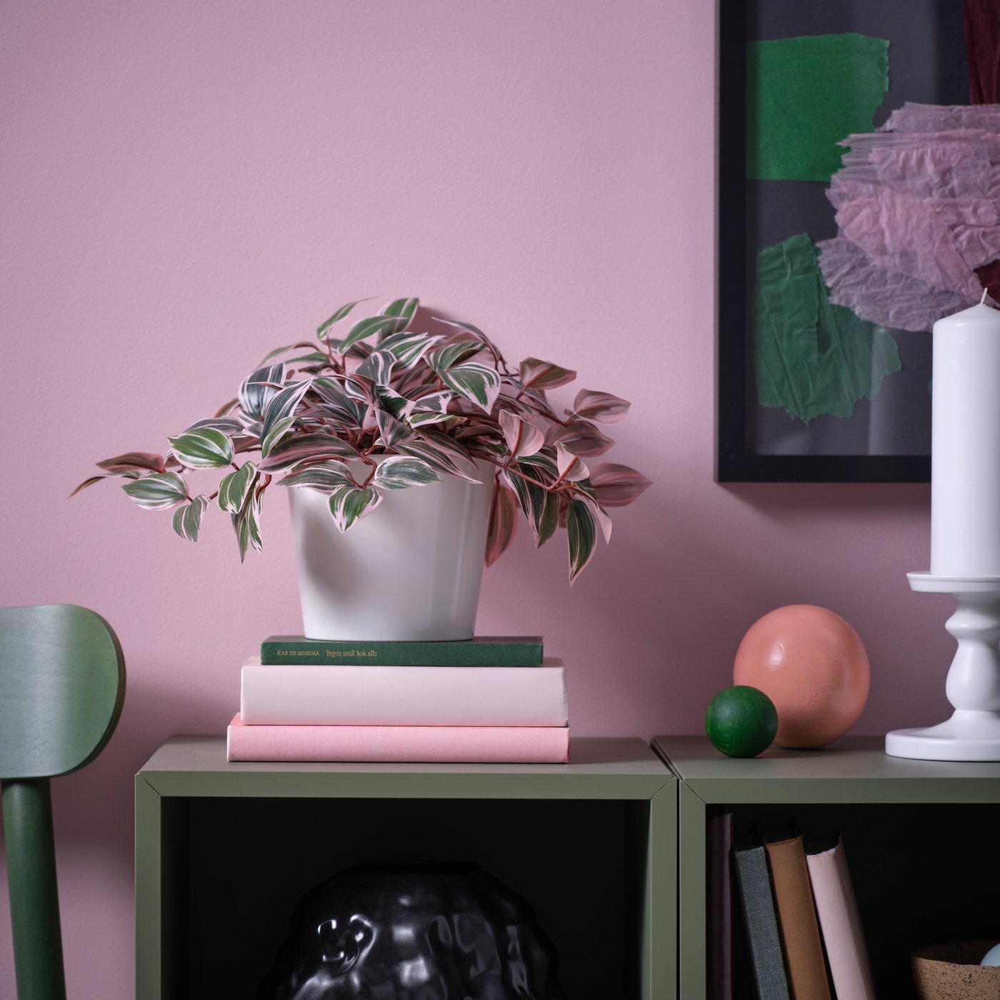 Dekorative Szene mit einem weißen Blumentopf auf einem grünen Regal, darin eine Pflanze mit rosa-grünen Blättern.