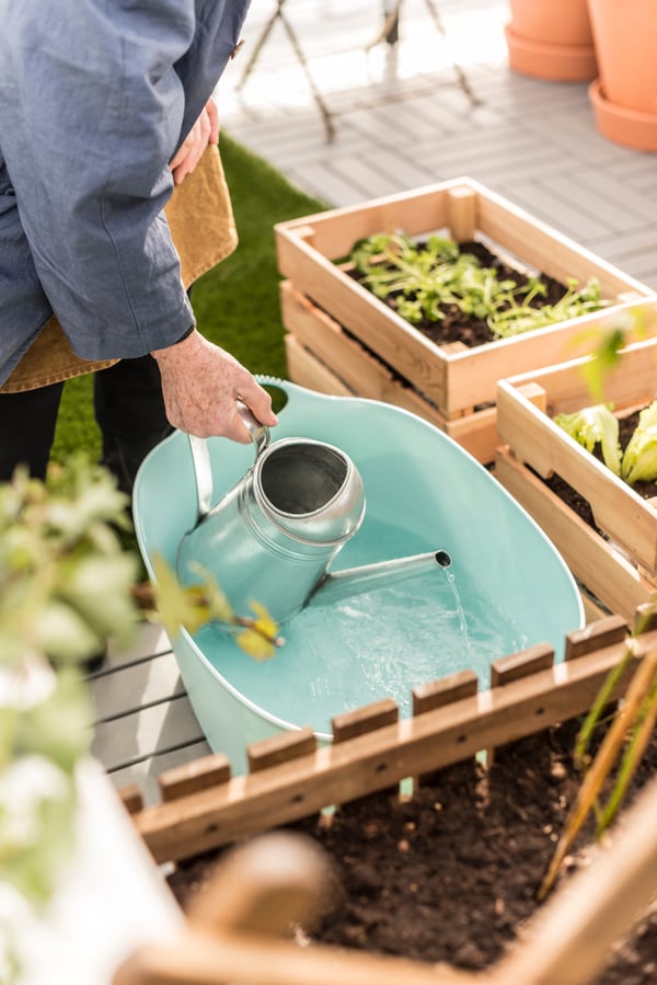 Pflanzen in KNAGGLIG Box werden gegossen. Gießkanne wird befüllt mit Wasser aus einer kleinen Wanne.