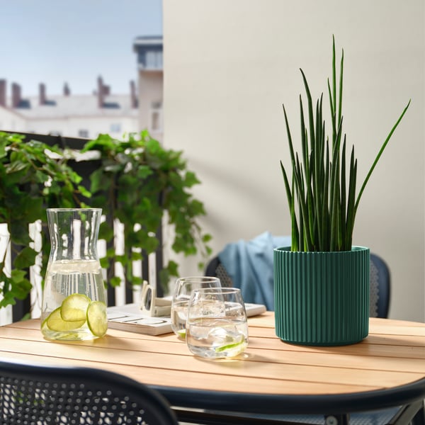  Un vaso per piante DAKSJUS verde scuro su un tavolo di legno in terrazza contro una parete beige.