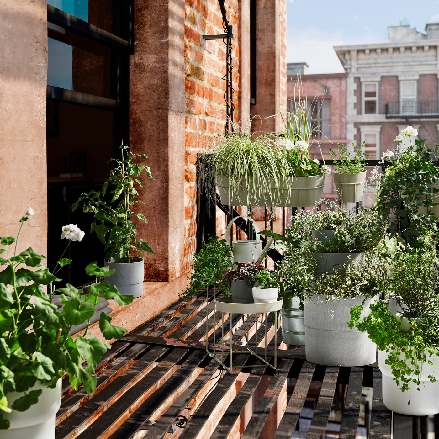 Selection of green plants in plant pots in different sizes on a sunny balcony.
