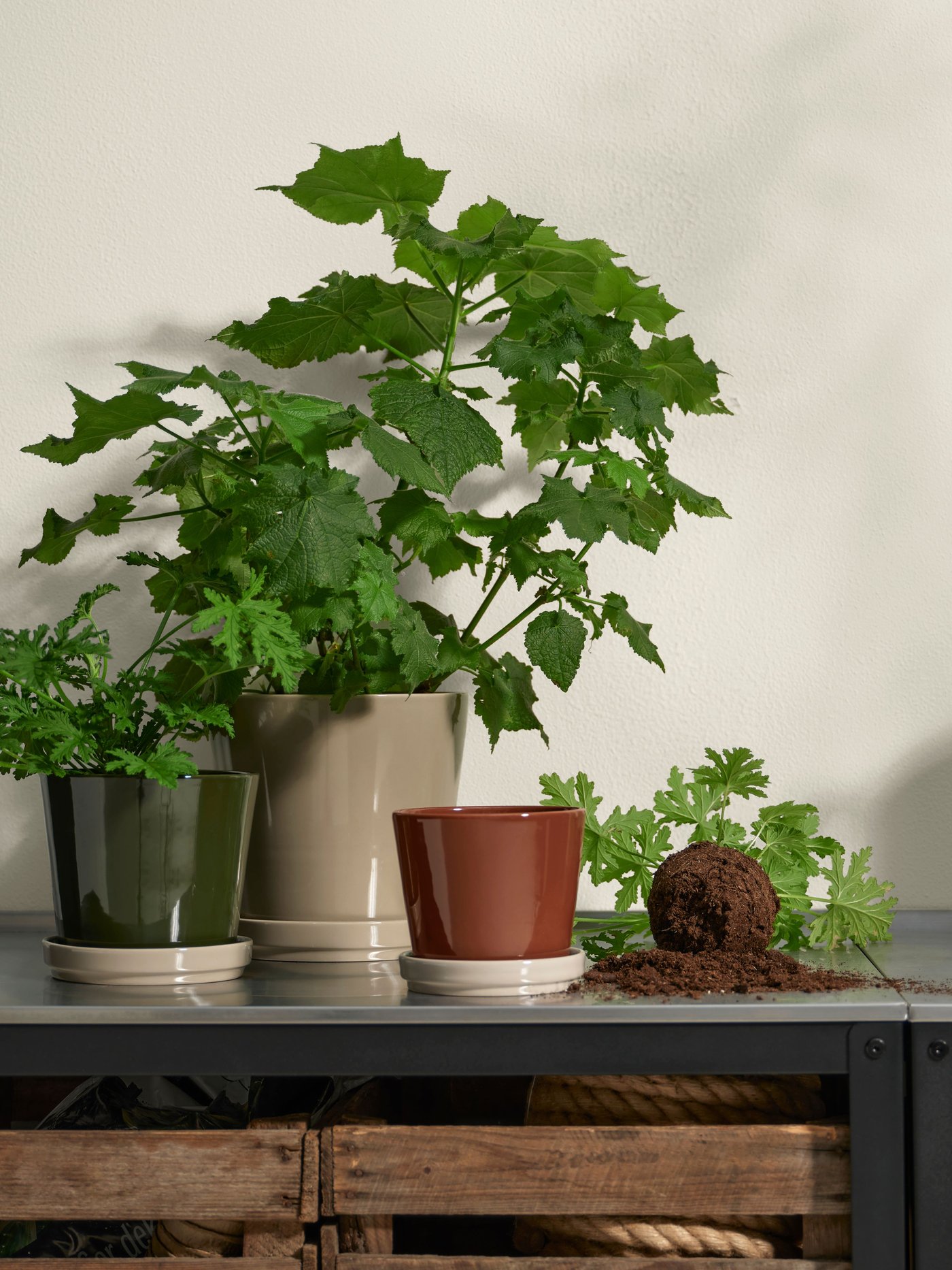 Kolme erikokoista KLOTLÖNN-kukkaruukkua vihreän, ruskean ja beigen sävyissä.