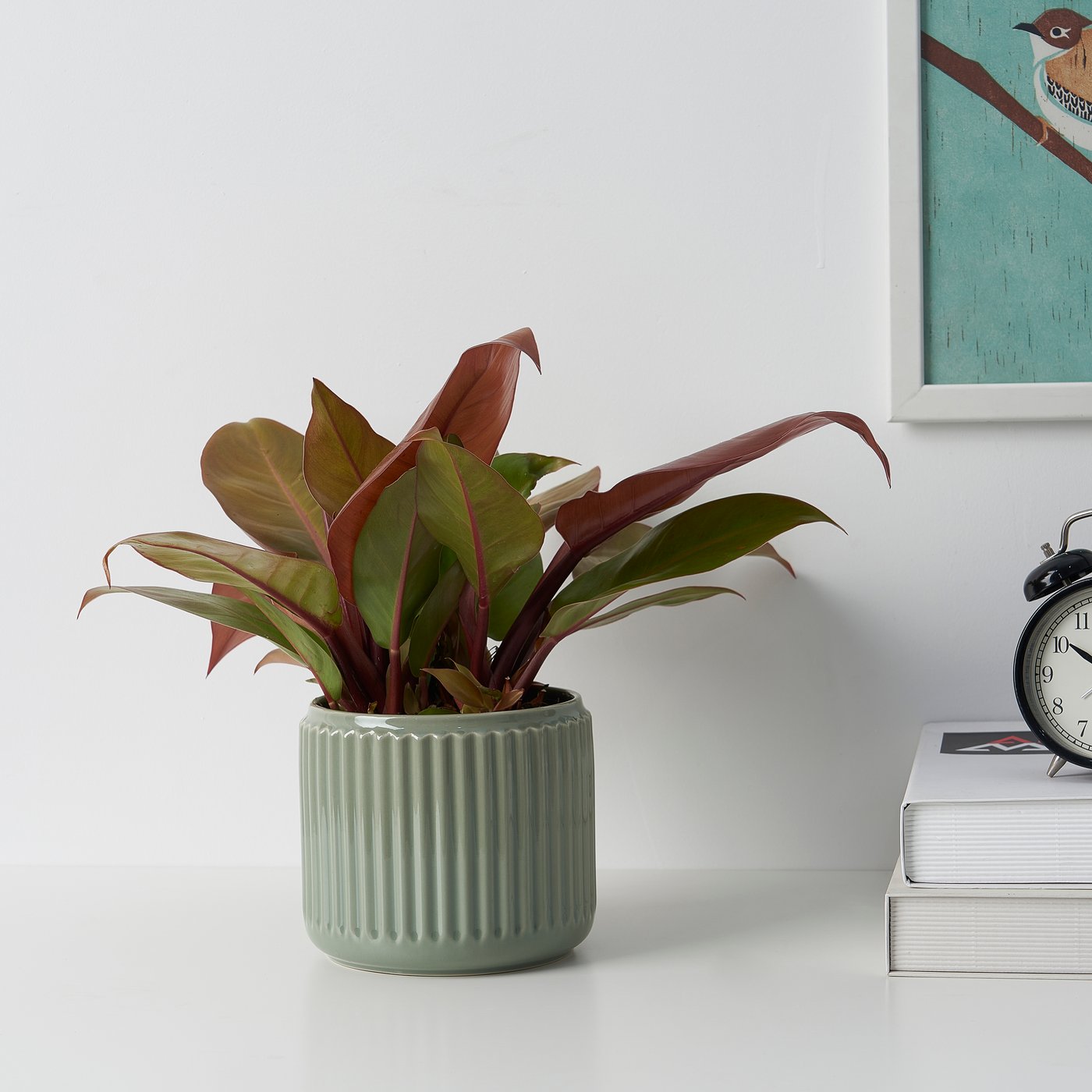 A dark turquoise STILREN plant pot