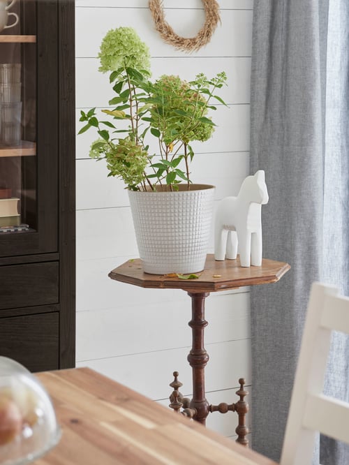 Sufragerie cu un corp cu uși de sticlă HEMNES, draperii HANNALILL, scaun NORDVIKEN și ghiveci CHIAFRÖN.