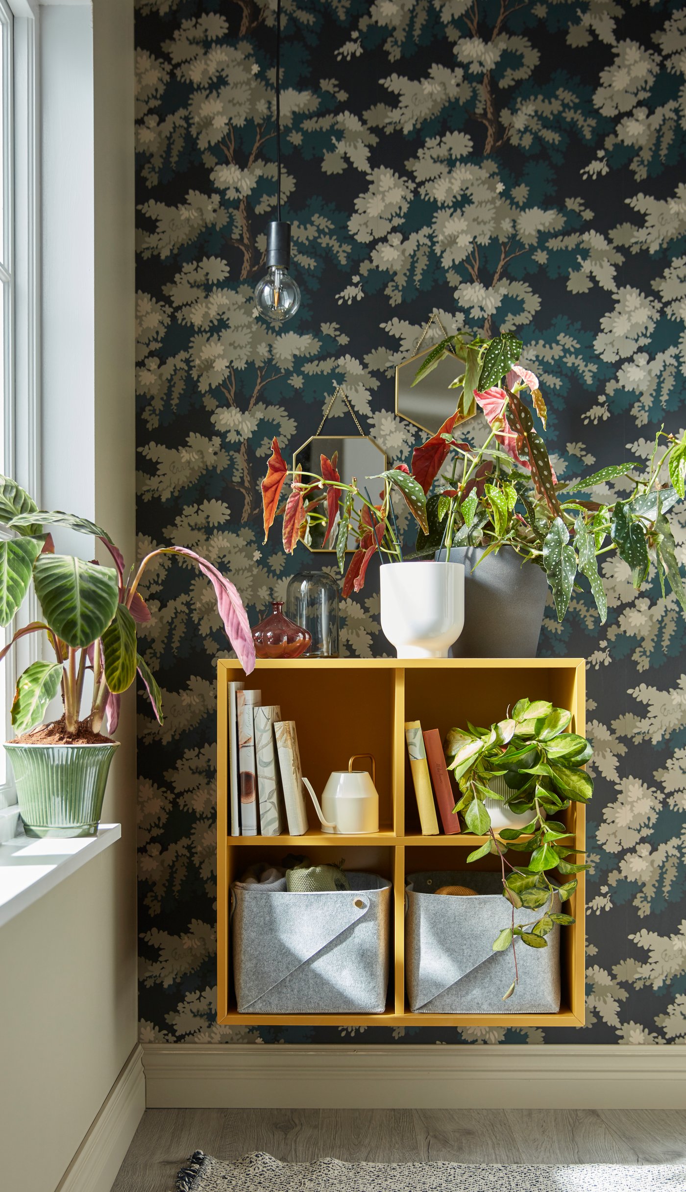 Ein gelbes EKET Regalelement an einer Wand neben einem Fenster. Im Regal sind Pflanzen und Bücher zu sehen.